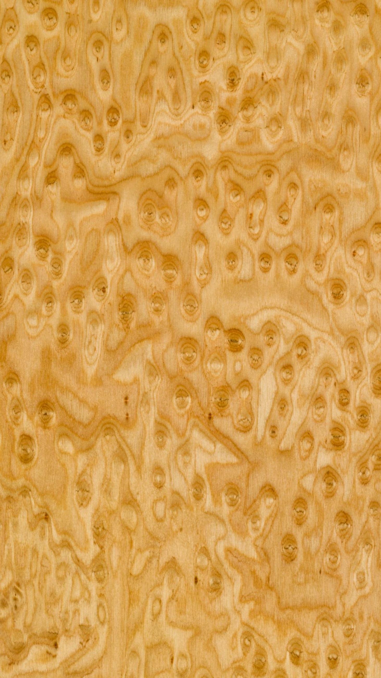 Birdseye Maple