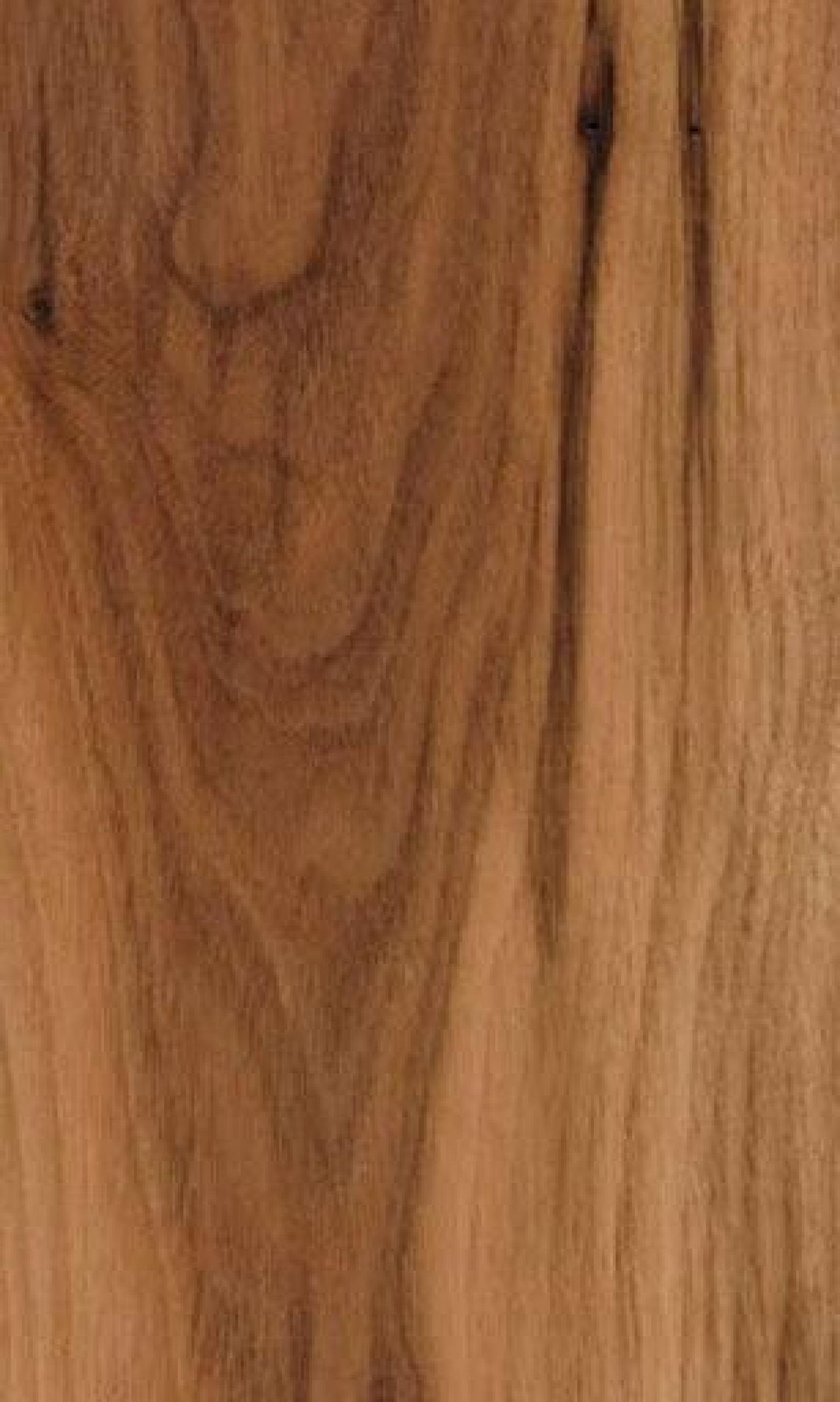 American Black Walnut