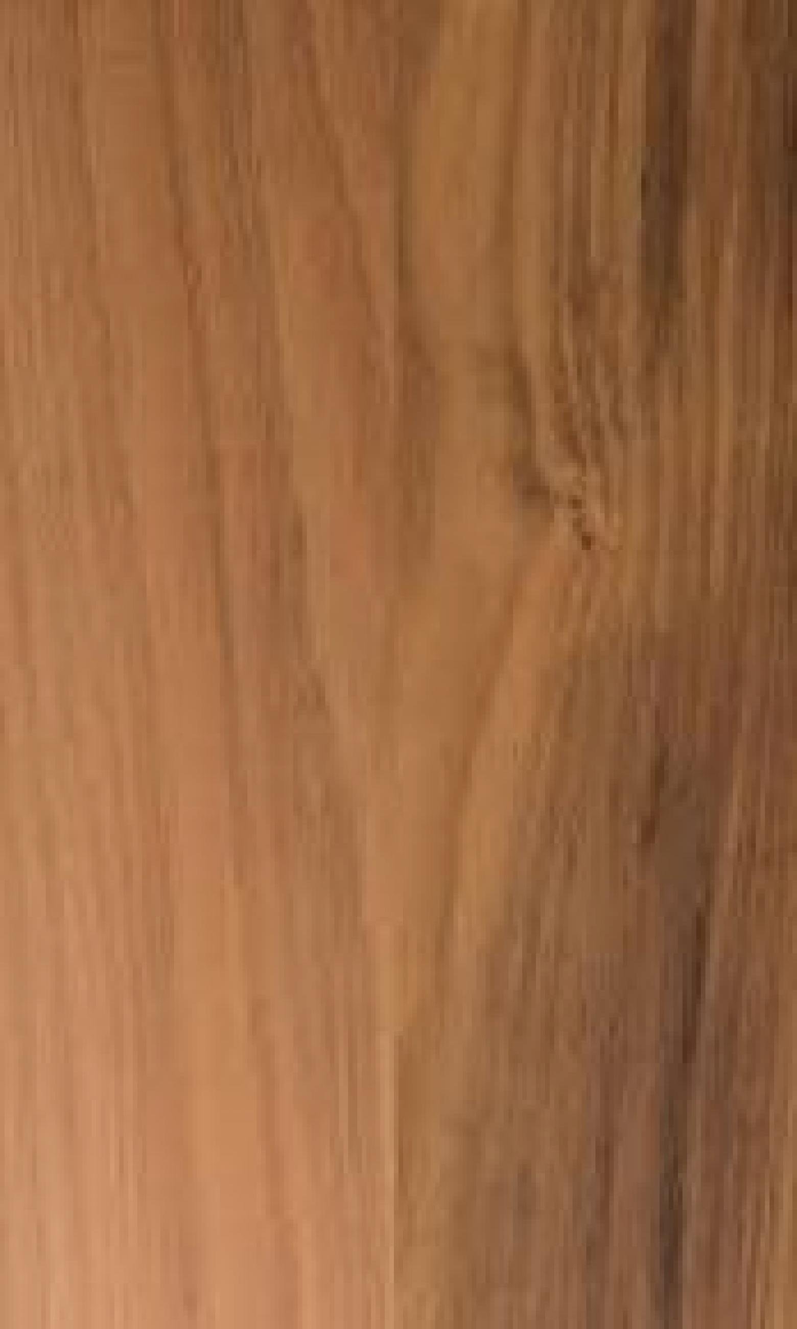 Tasmanian Blackwood