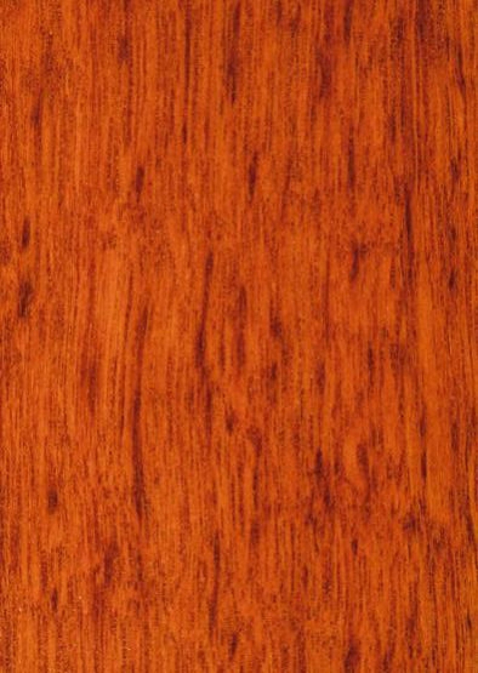 Jarrah