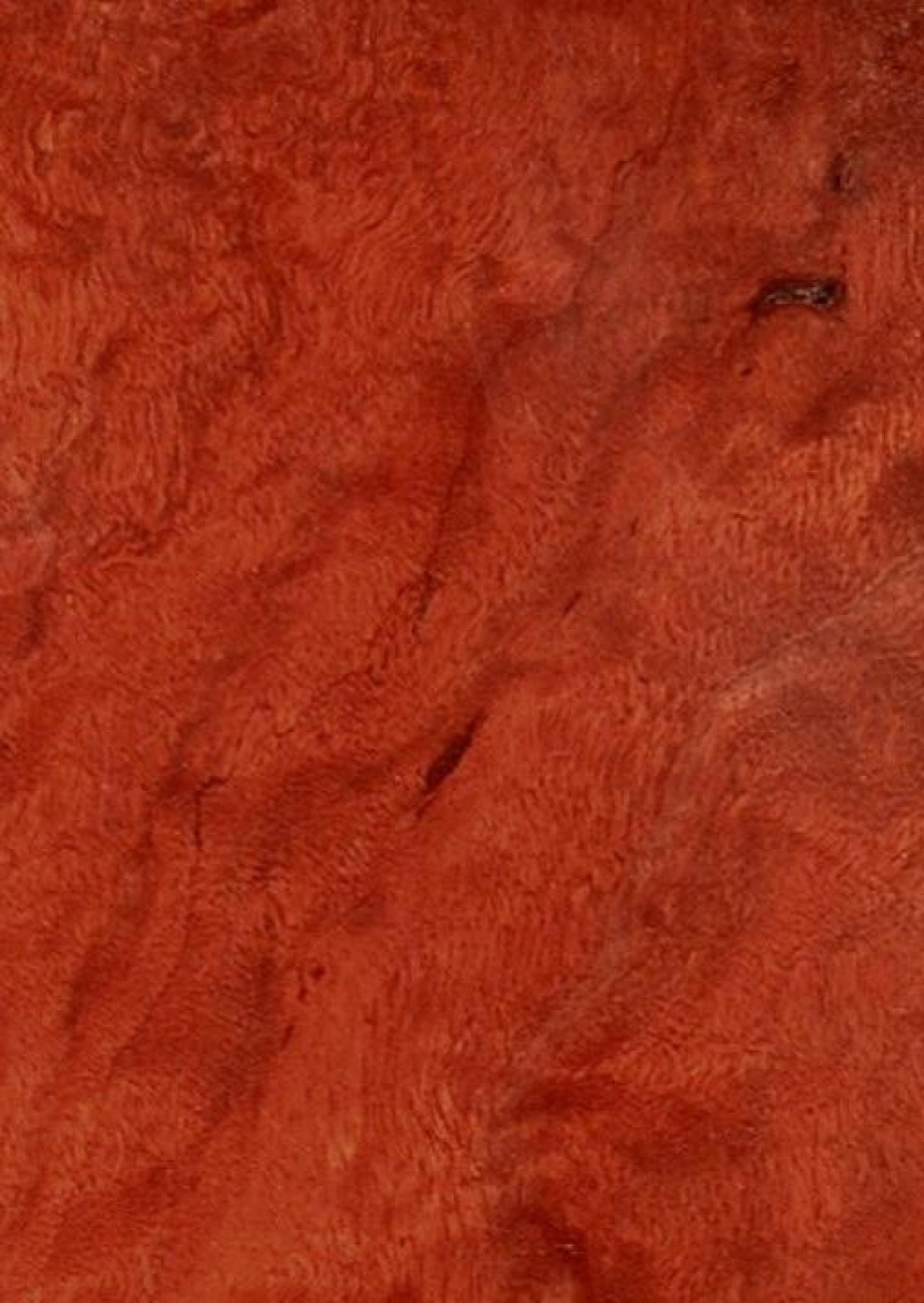 River Red Gum