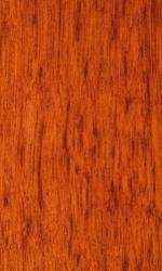 Jarrah