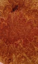 Mallee Burl